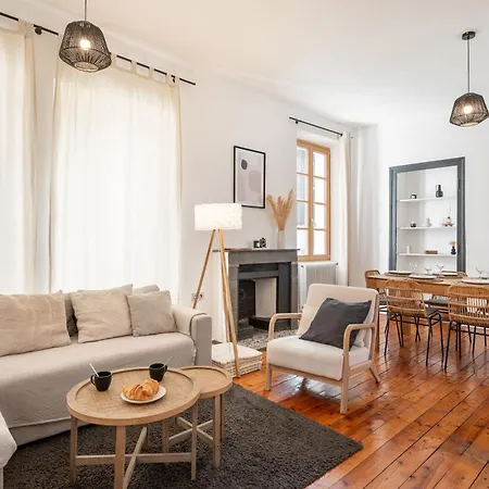 Apartment Spacieux Et Chaleureux Coeur De *